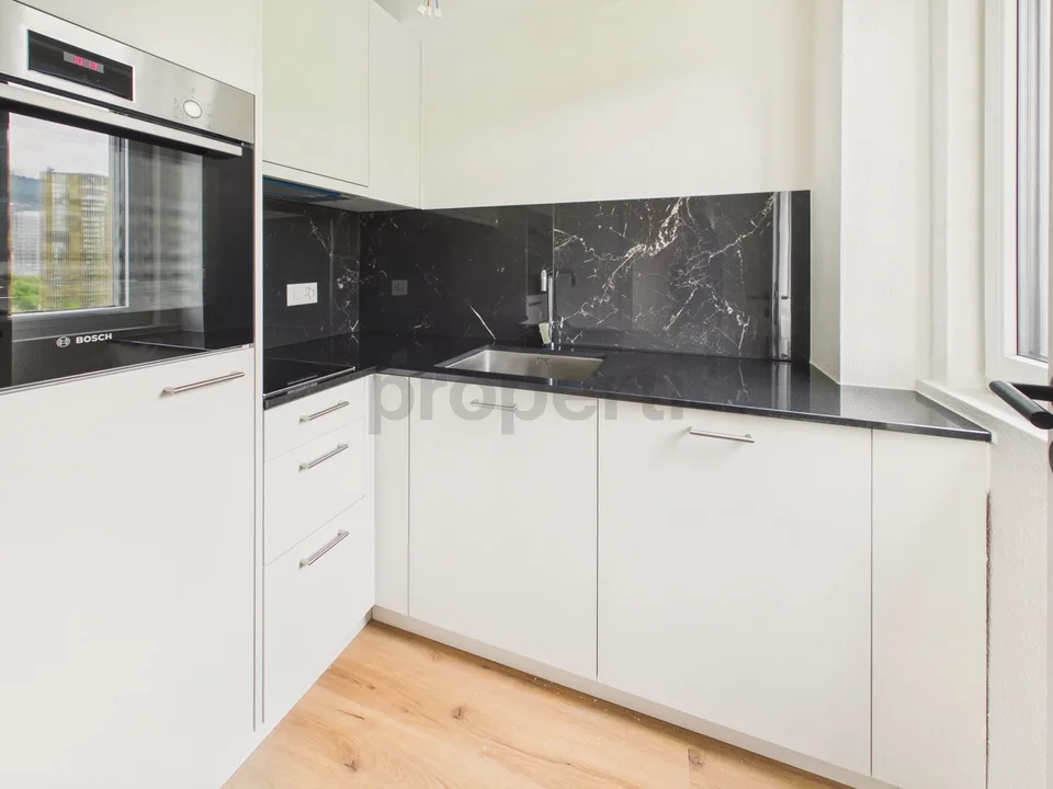 Newly renovated 1.5-room apartment with basement room, Lucerne