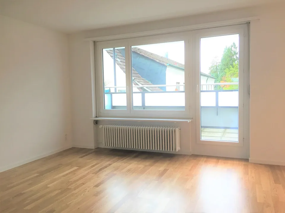 Über den Dächern von Solothurn