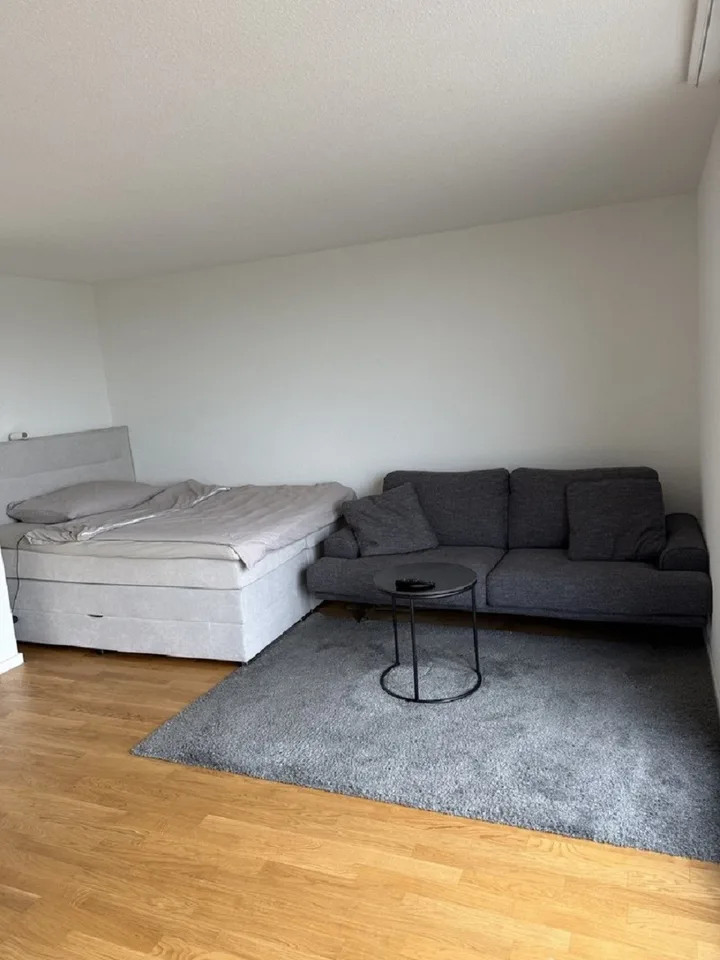 Modern 1-room apartment with balcony in Solothurn available immediately!