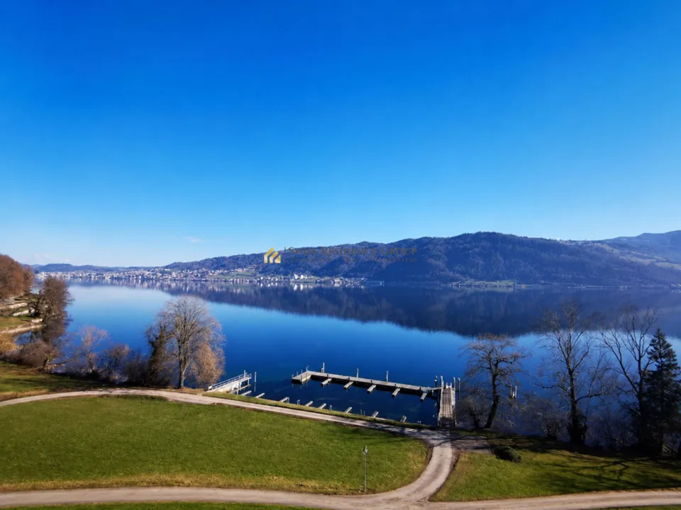 Maison mitoyenne exclusive à Risch avec vue sur le lac de Zug