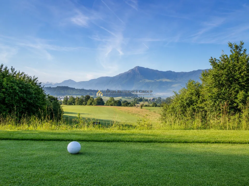 Maison mitoyenne exclusive à Risch avec vue sur le lac de Zug