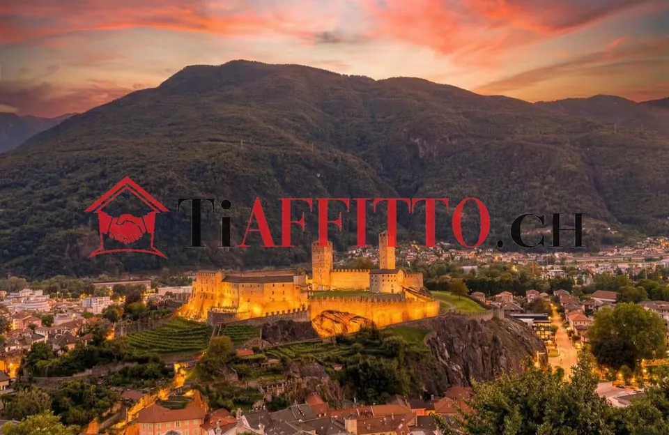 ENORMES LOFT MIT TERRASSE UND BURGENBlick IN BELLINZONA