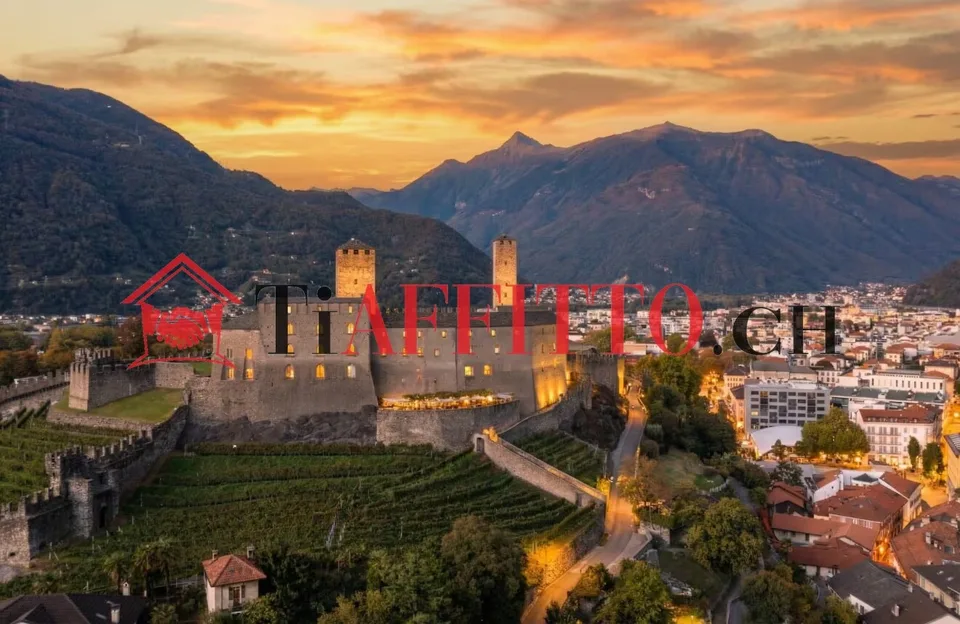 ENORMES LOFT MIT TERRASSE UND BURGENBlick IN BELLINZONA