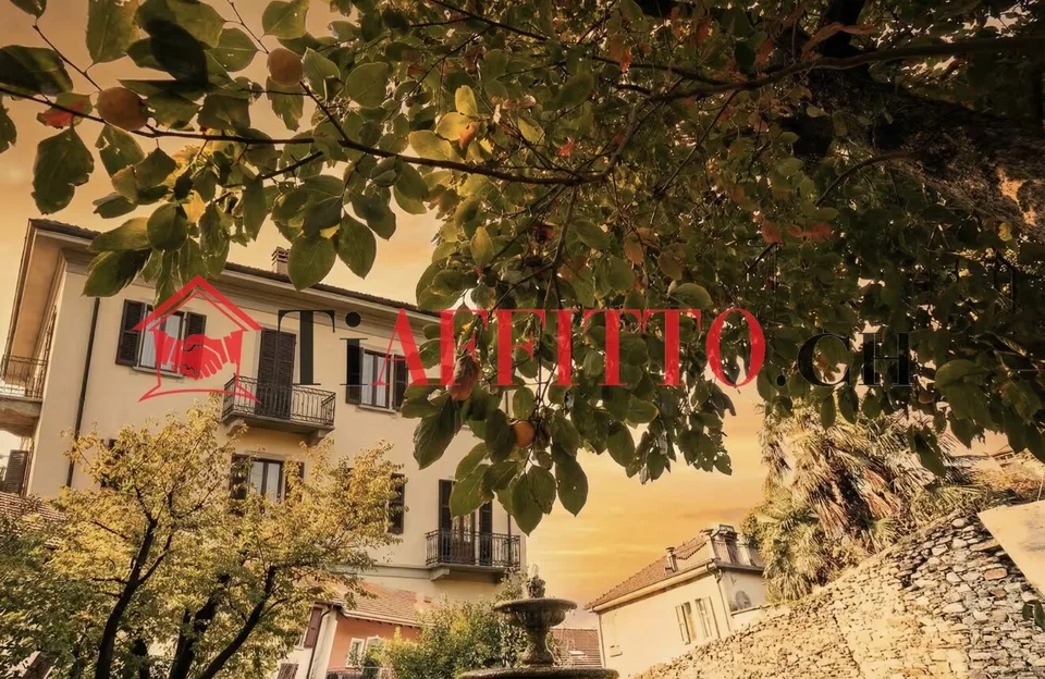 ENORMES LOFT MIT TERRASSE UND BURGENBlick IN BELLINZONA