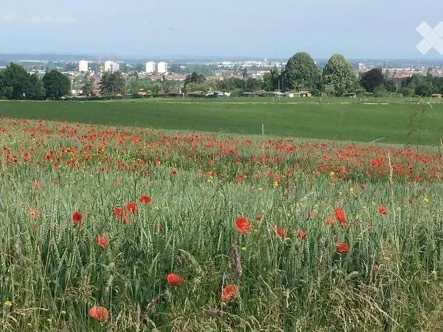 Maison unifamiliale à Bâle