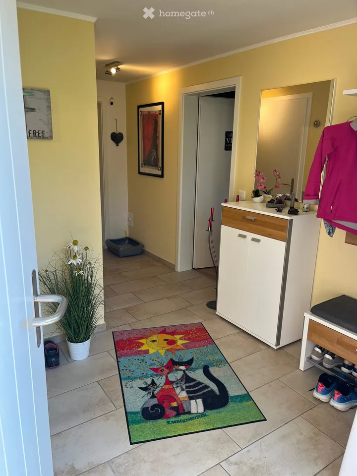Doppeleinfamilienhaus in Frenkendorf
