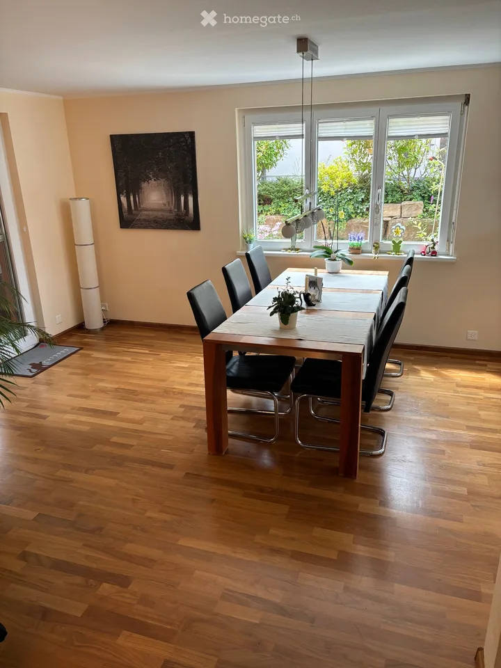 Doppeleinfamilienhaus in Frenkendorf