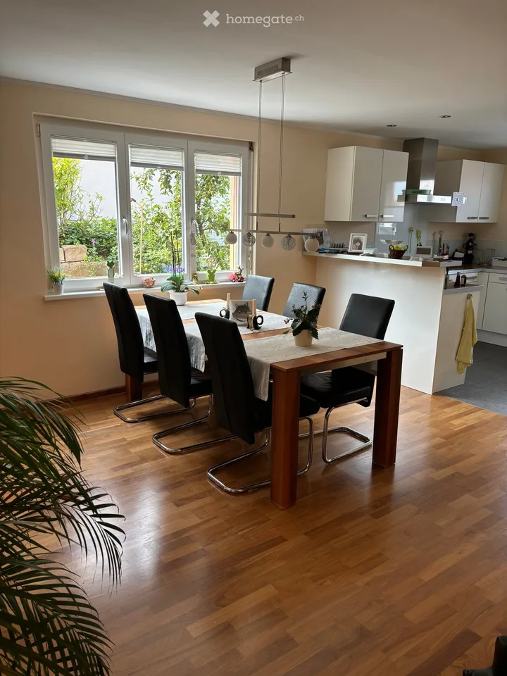 Doppeleinfamilienhaus in Frenkendorf