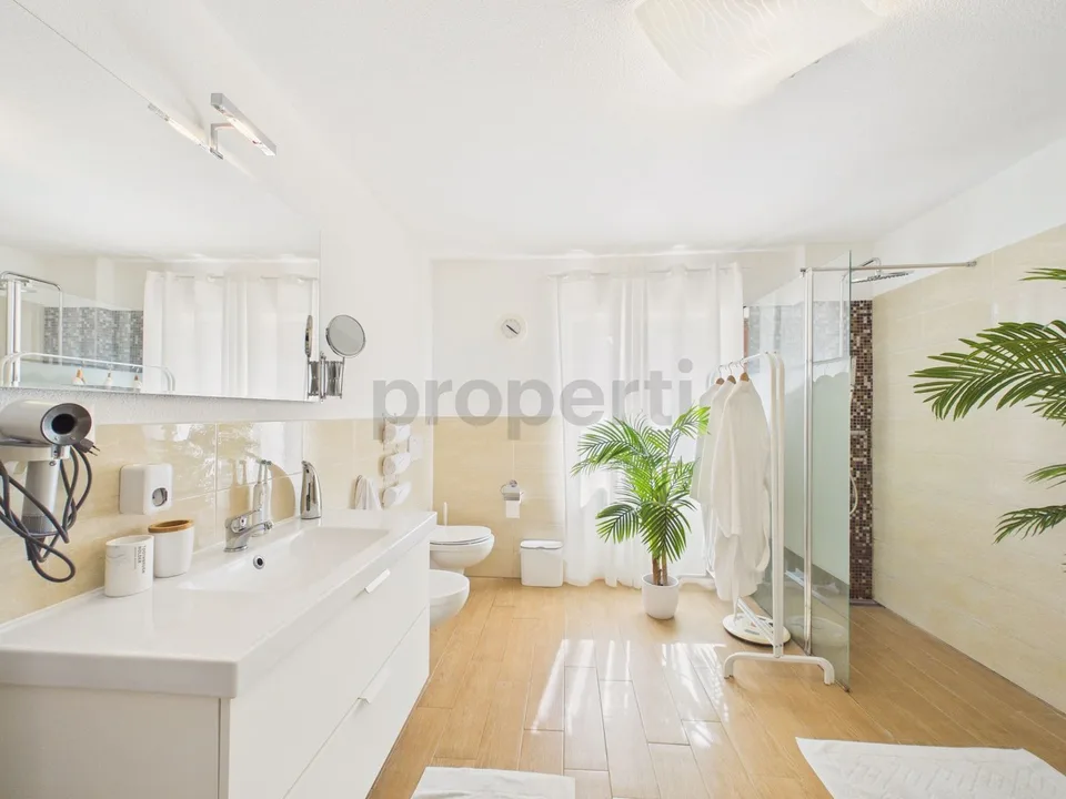 4.5 Room Villa with Pool in Roveredo GR