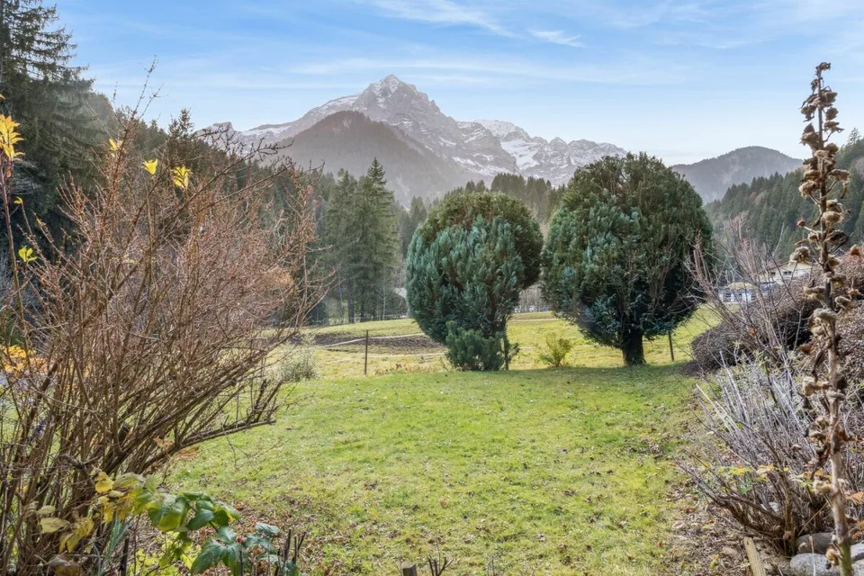 Set of 2 apartments (3.5 rooms + studio) in Champéry