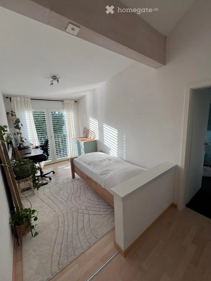 Helle Dachwohnung
