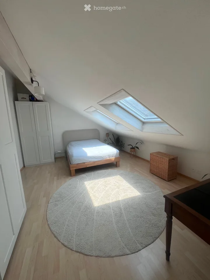 Helle Dachwohnung