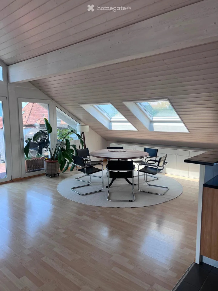 Helle Dachwohnung