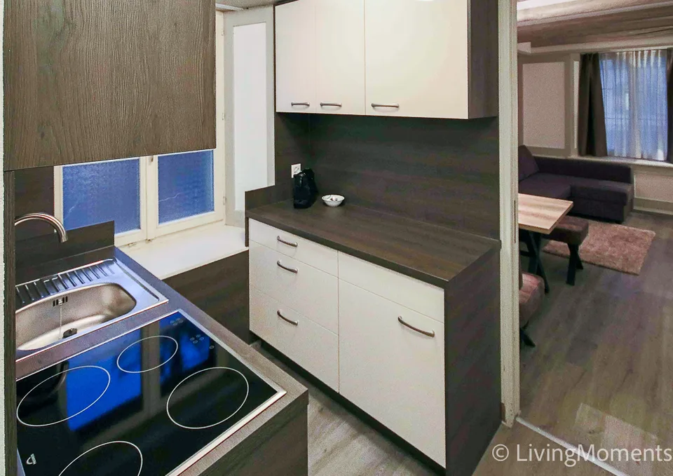 Appartement 1.5 pièces meublé avec style et espace de séjour extérieur