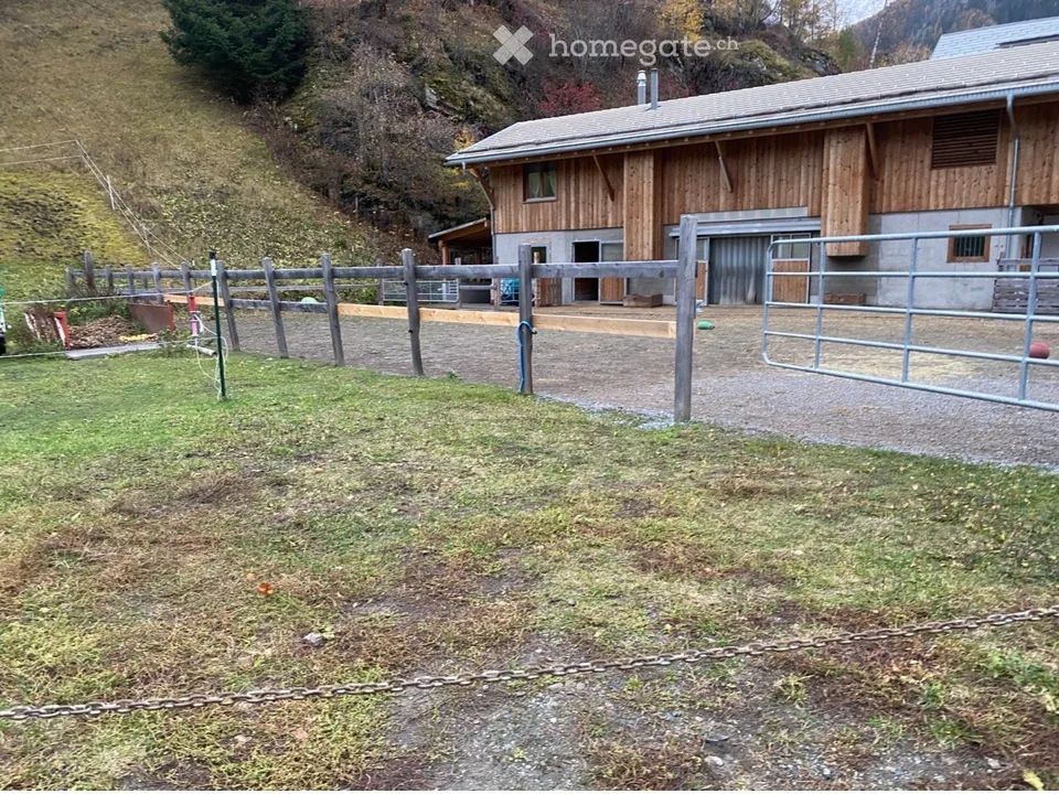 Exceptional and versatile multi-family house with horse stable