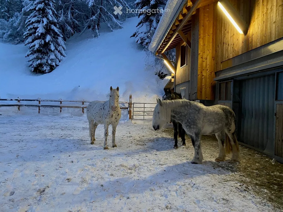 Exceptional and versatile multi-family house with horse stable