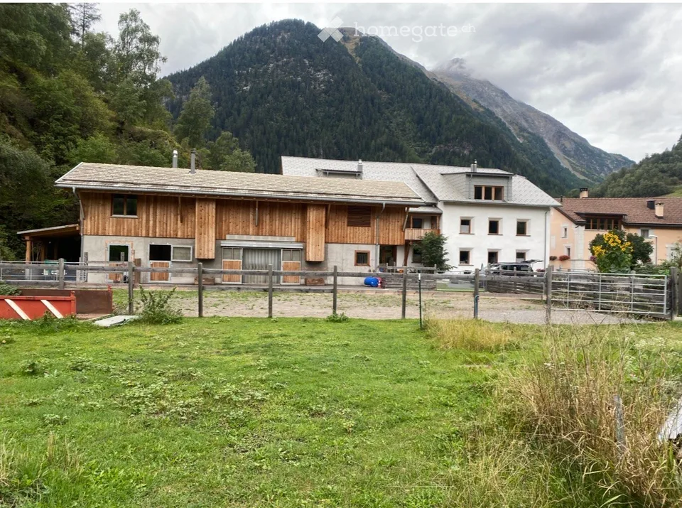 Exceptional and versatile multi-family house with horse stable
