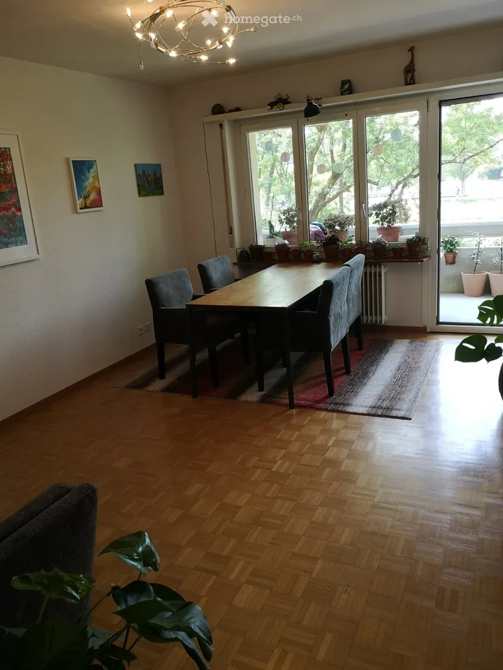 1 chambre, Zurich 8049