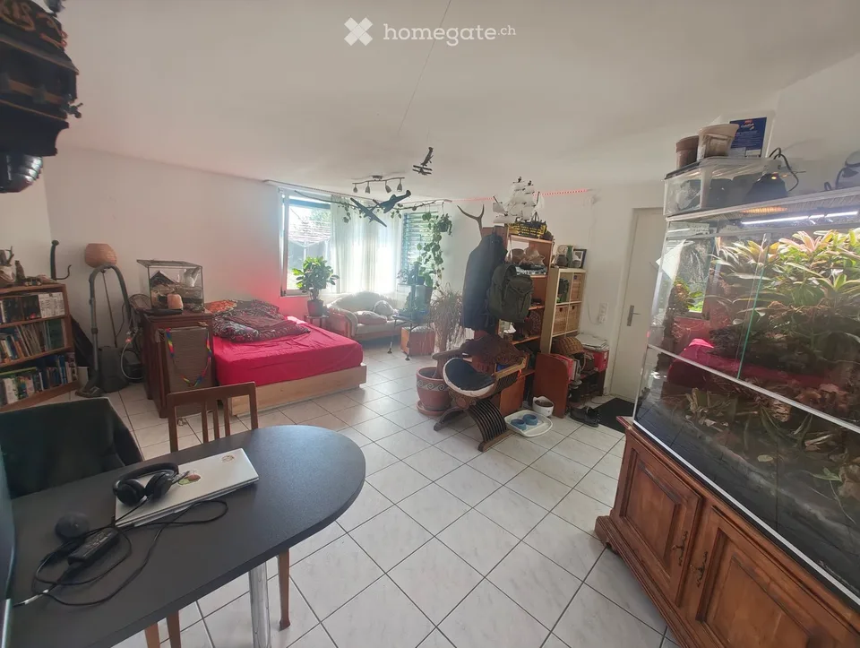 Studio charmant avec espace de sièges, disponible à partir de la mi-octobre