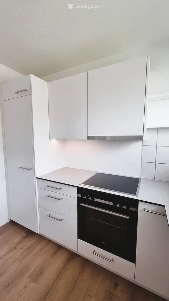 Total renovierte, trendige Wohnung im Herzen von Zürich-Altstetten!