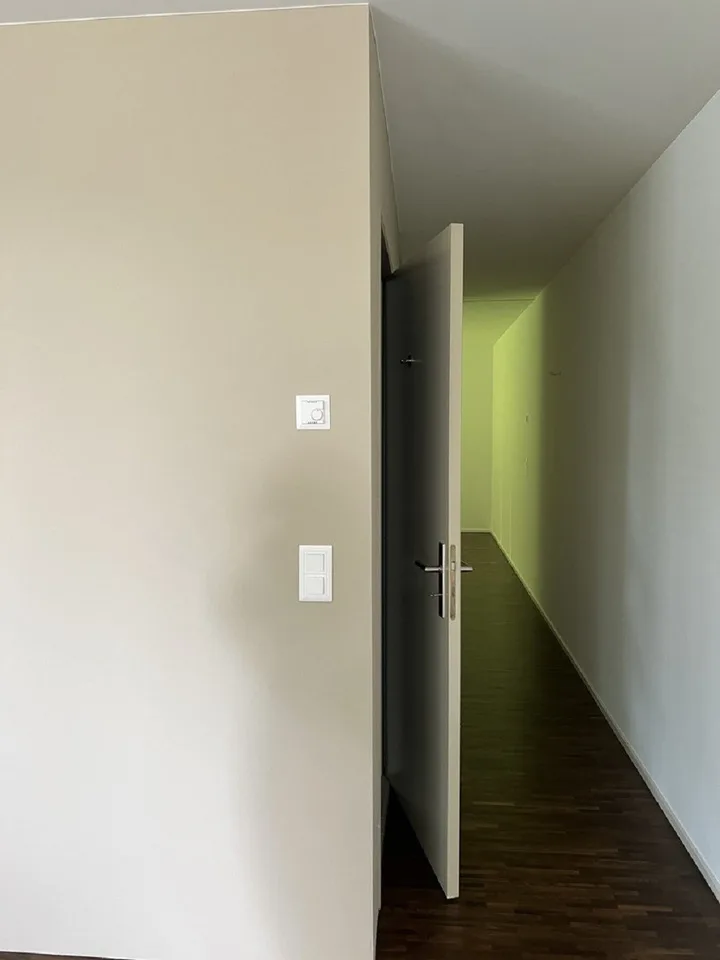 Helle 2,5-Zimmer-Wohnung mit Balkon in Binningen  sofort verfügbar!