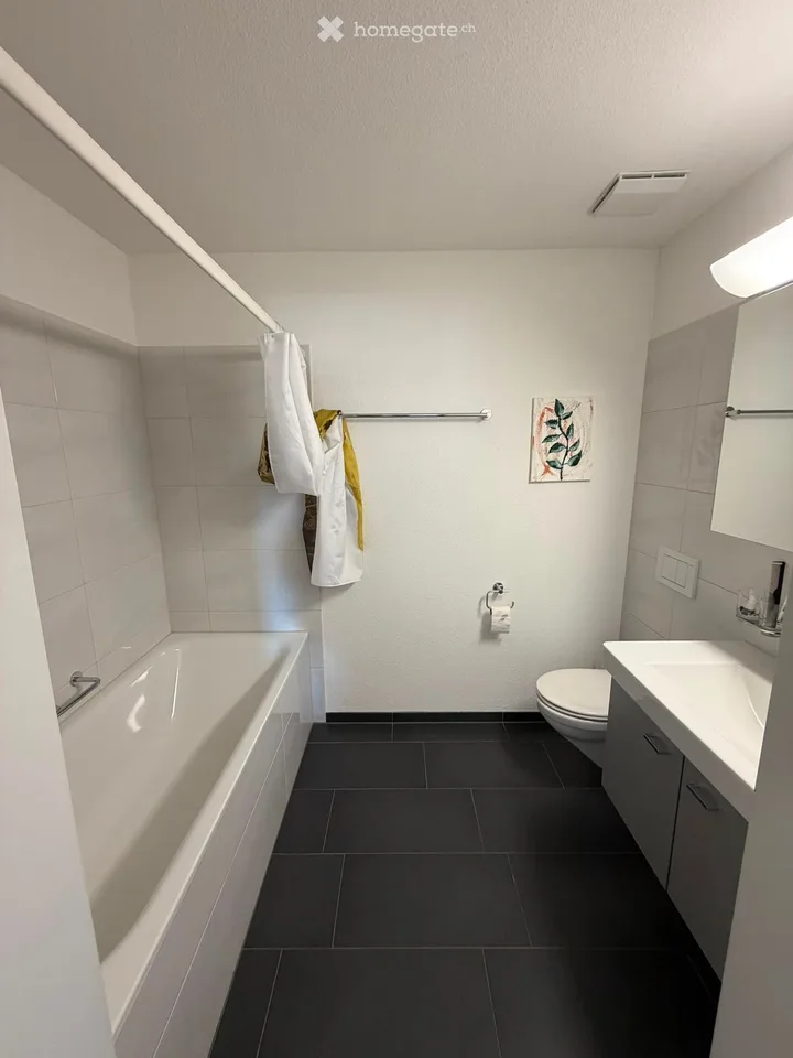 3.5-Zimmer-Wohnung in Volketswil – ruhig, gepflegt und gut gelegen