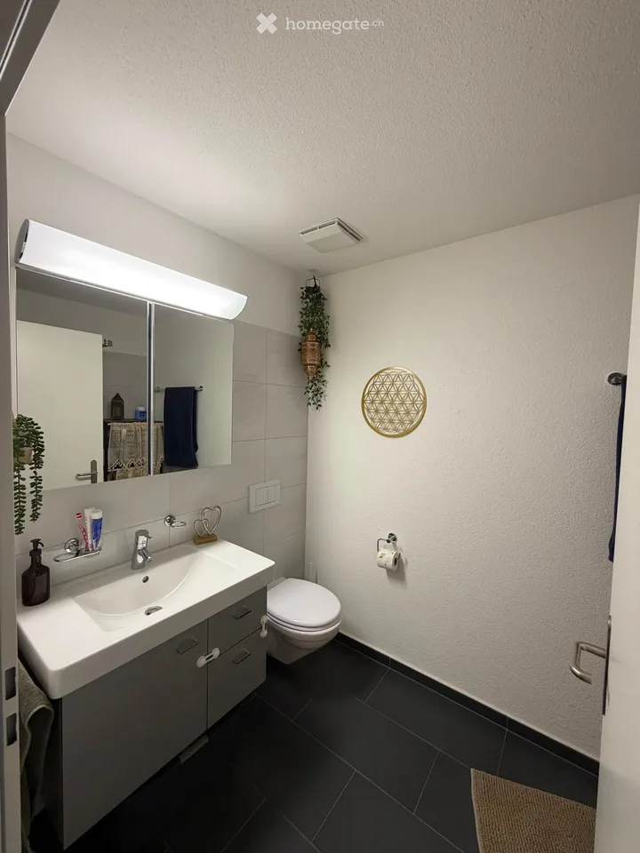 3.5-Zimmer-Wohnung in Volketswil – ruhig, gepflegt und gut gelegen