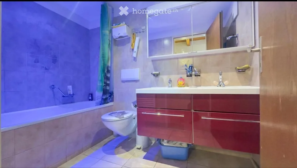 Appartement avec galerie
