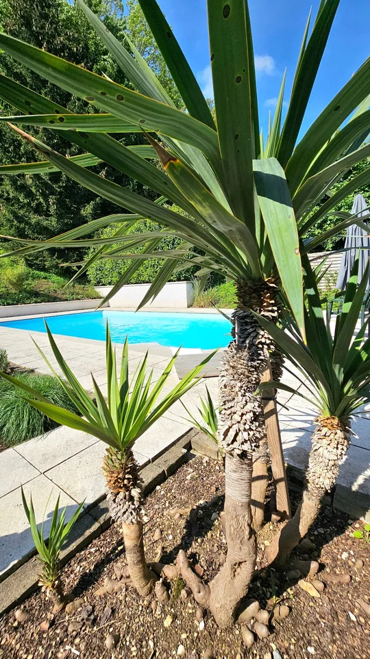 Traumhaftes Architektenvilla mit Pool in Ferrette