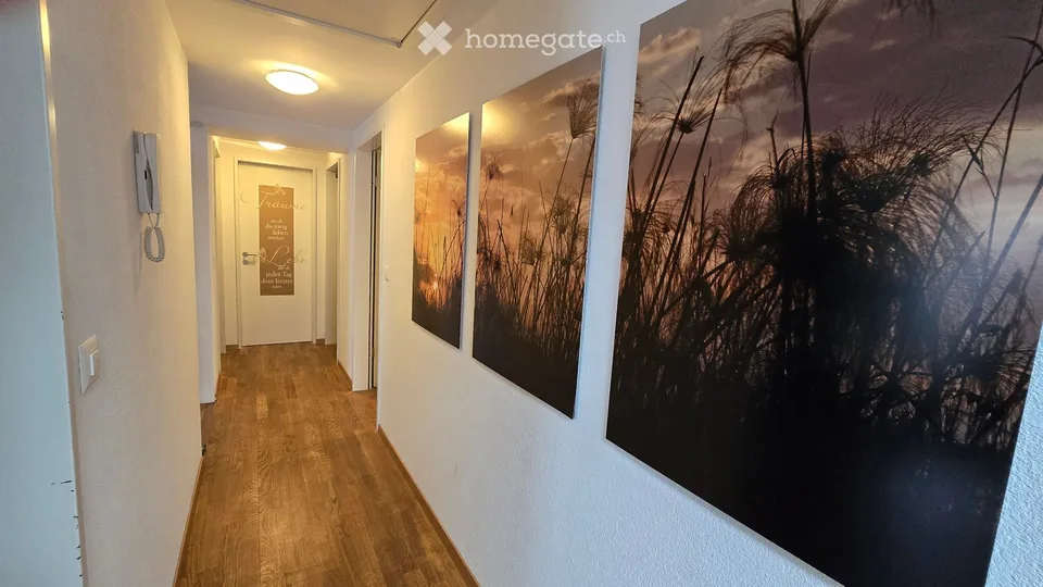 Aussergewöhnliche 5 1/2-Zimmer Dachwohnung mit 60m2 Loggia – photo 24 sur 27