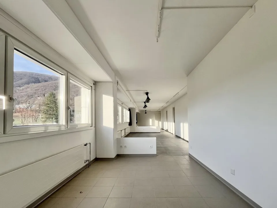 Büro-Atelier Gewerberaum in Bedano zu vermieten