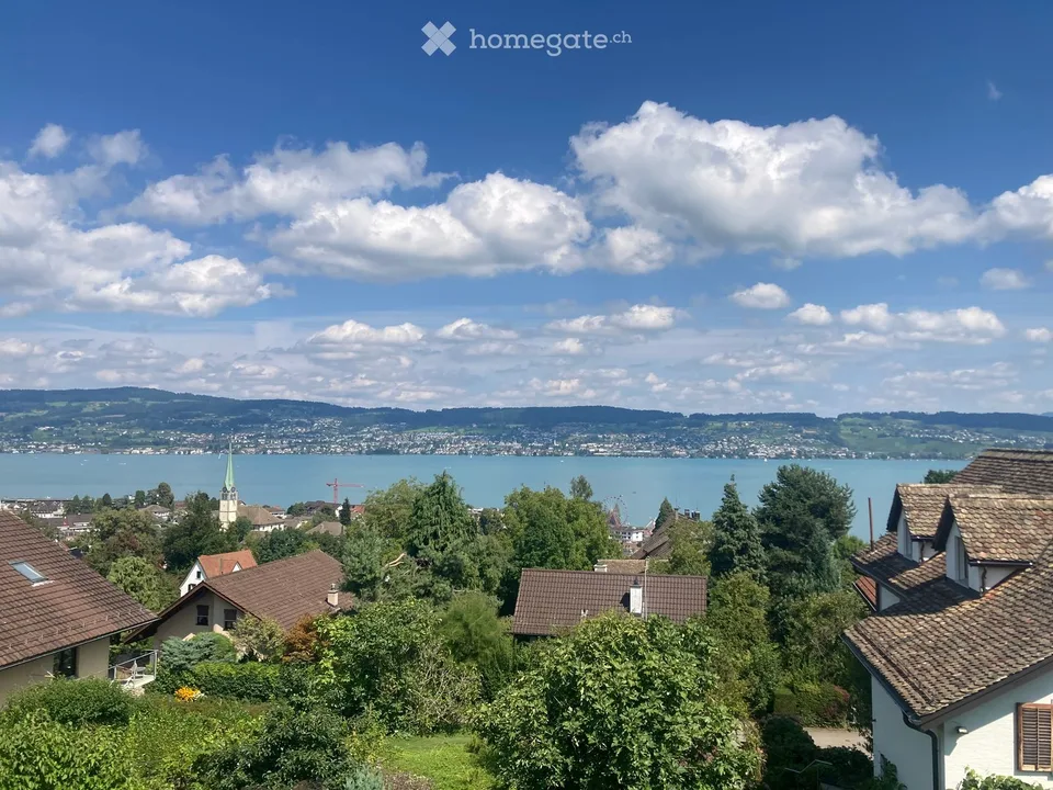 Grosszügige 3.5-Zimmer-Wohnung mit Garten und Seesicht in Wädenswil