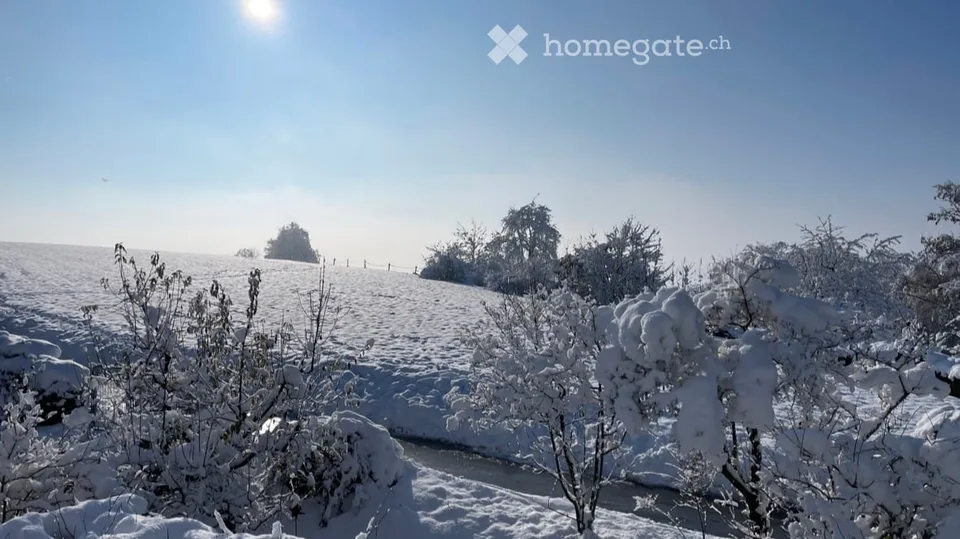 Nature-loving and self-managed: 6.5-room house in Obfelden