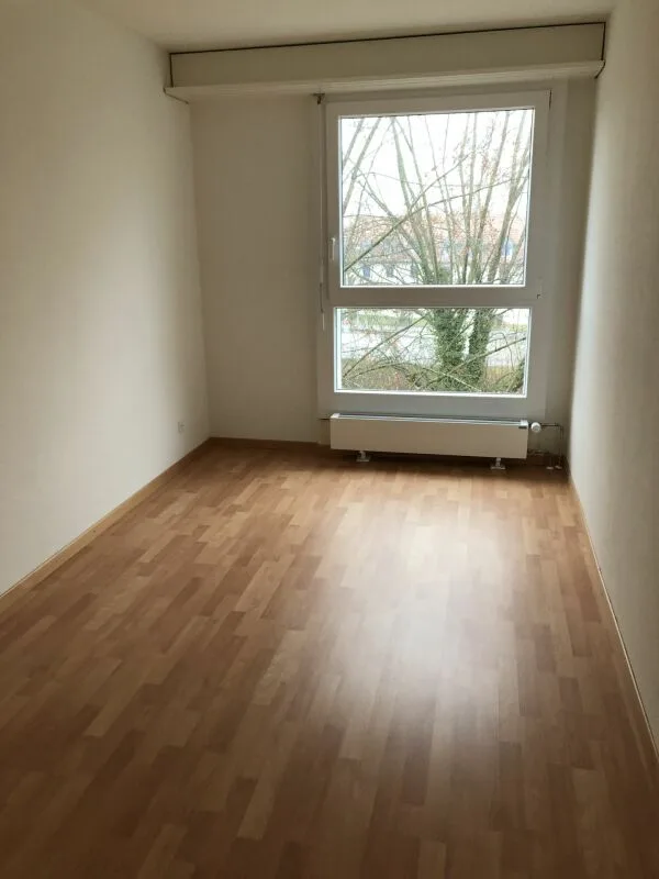 4.5 ZWG neuwertig, Abendsonne