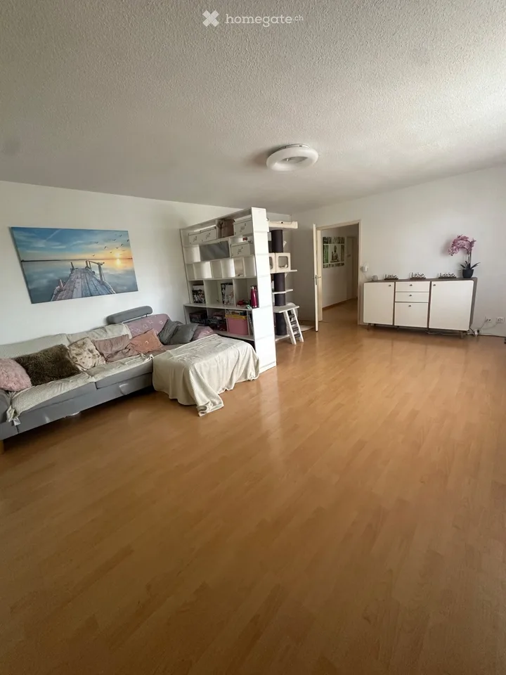 Grosszügige 7-Zimmer-Wohnung in Hochfelden