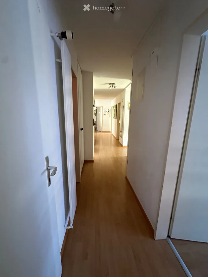 Grosszügige 7-Zimmer-Wohnung in Hochfelden