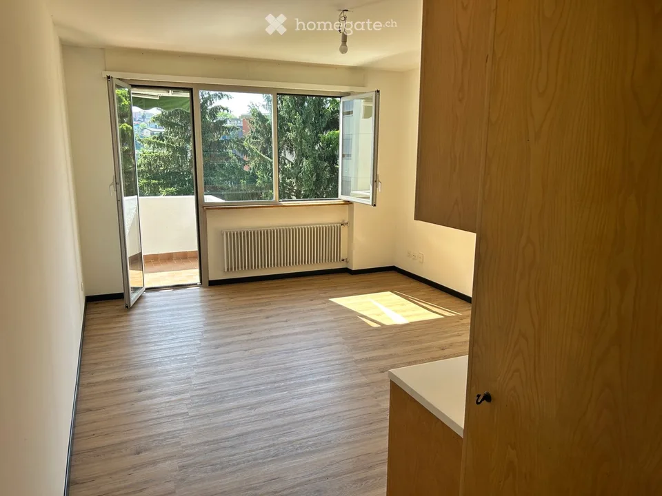 2,5 Zimmer renoviert mit großem Terrassenbereich und Parkplatz