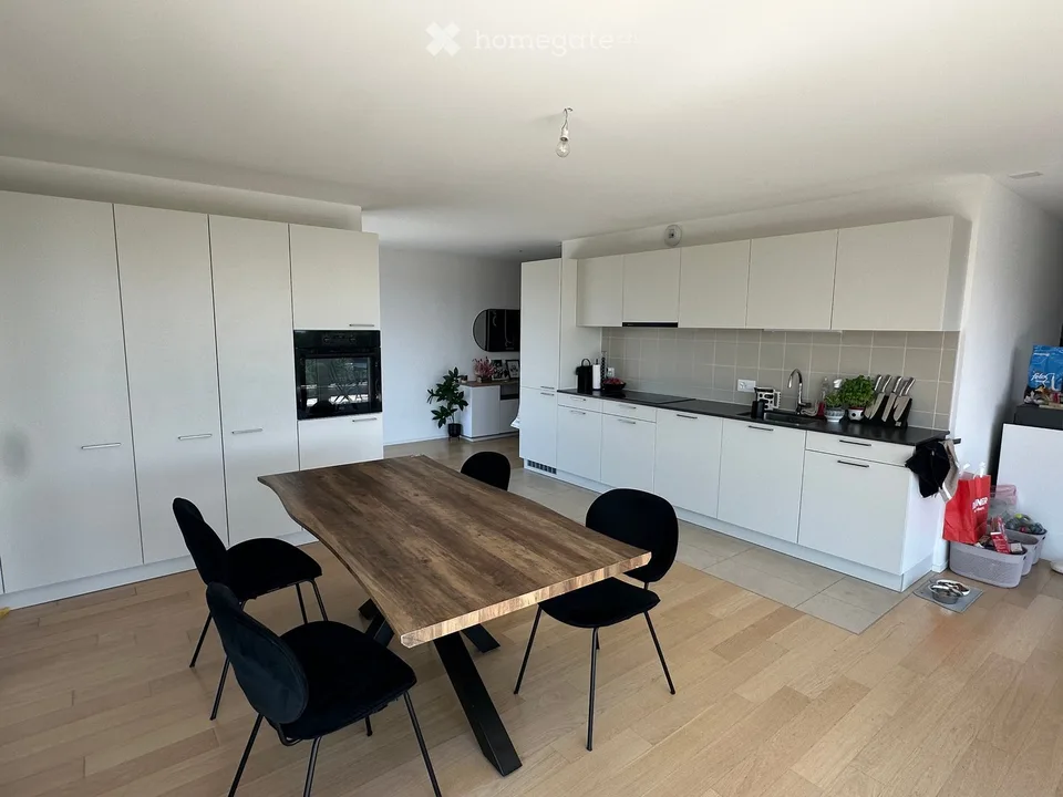 Prächtige neue helle Wohnung
