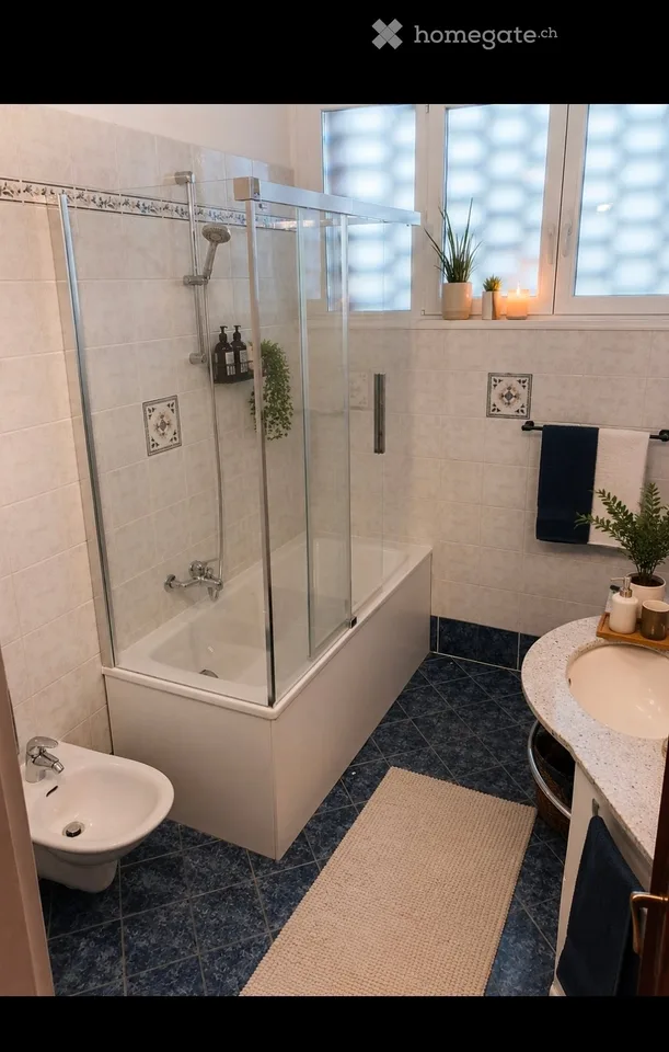 Wohnung 4,5 Zimmer in Pregassona