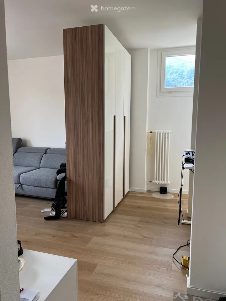 Je cherche un repreneur pour un appartement déjà meublé de 2,5 pièces à Lamone