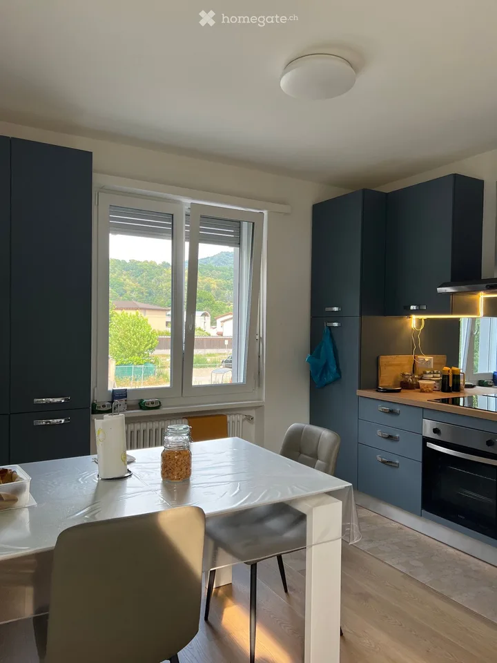 Je cherche un repreneur pour un appartement déjà meublé de 2,5 pièces à Lamone