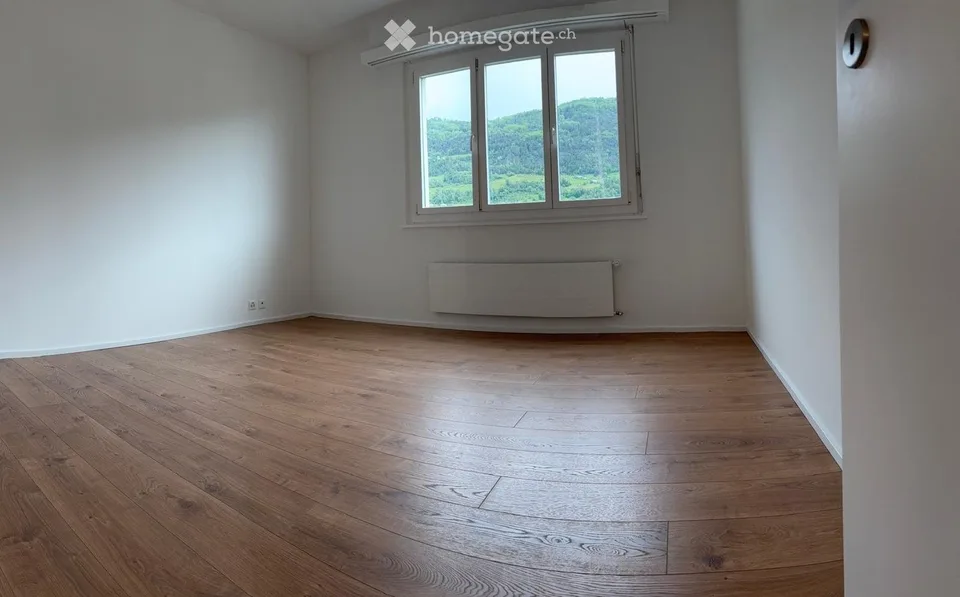 Wohnung 4,5 komplett renoviert 1. Mieter (Parkplatz)