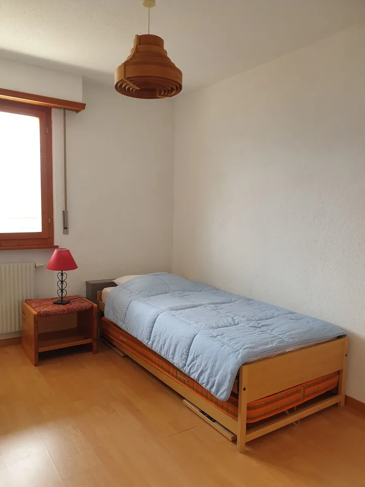 Vacation Rentals: La Rivaz Apartment