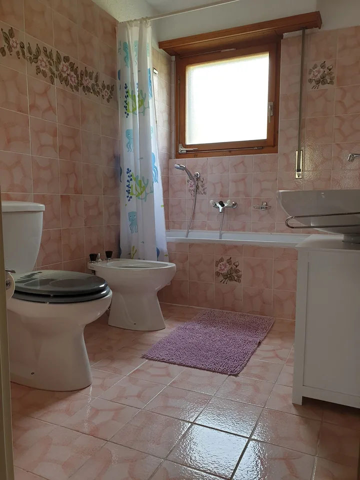 Vacation Rentals: La Rivaz Apartment