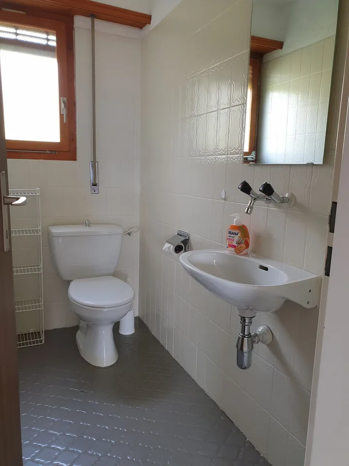 Vacation Rentals: La Rivaz Apartment