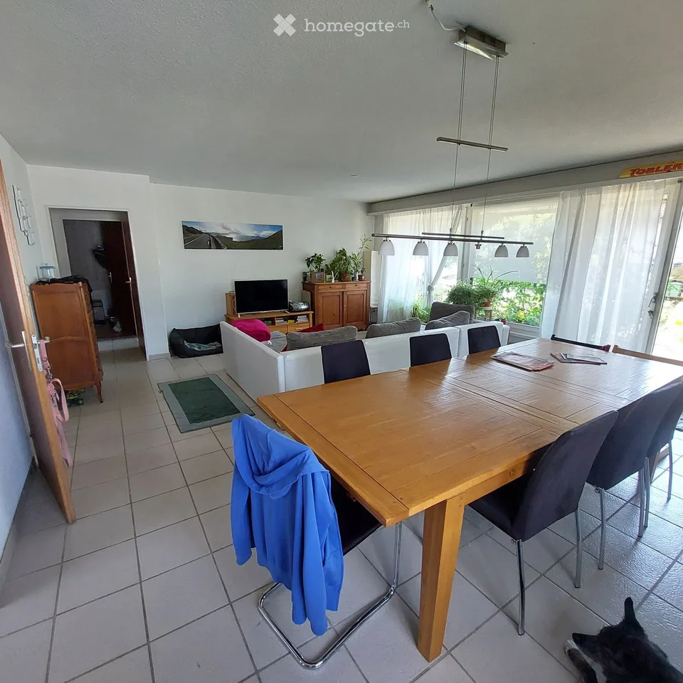 Einfamilienhaus in Affoltern am Albis