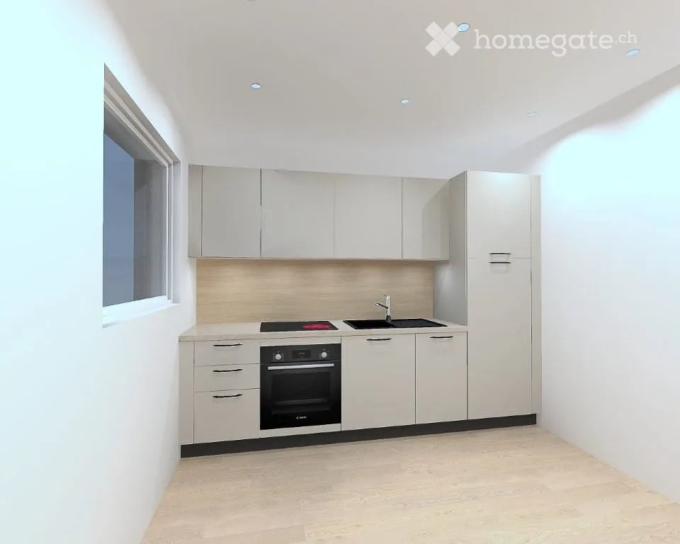 Charming 2-room apartment renovated with terrace in Ecublens