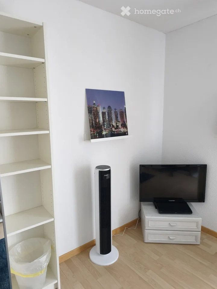 Privatzimmer mit eigener Dusche/WC, 28 Min bis ZH HB, inkl. Reinigung