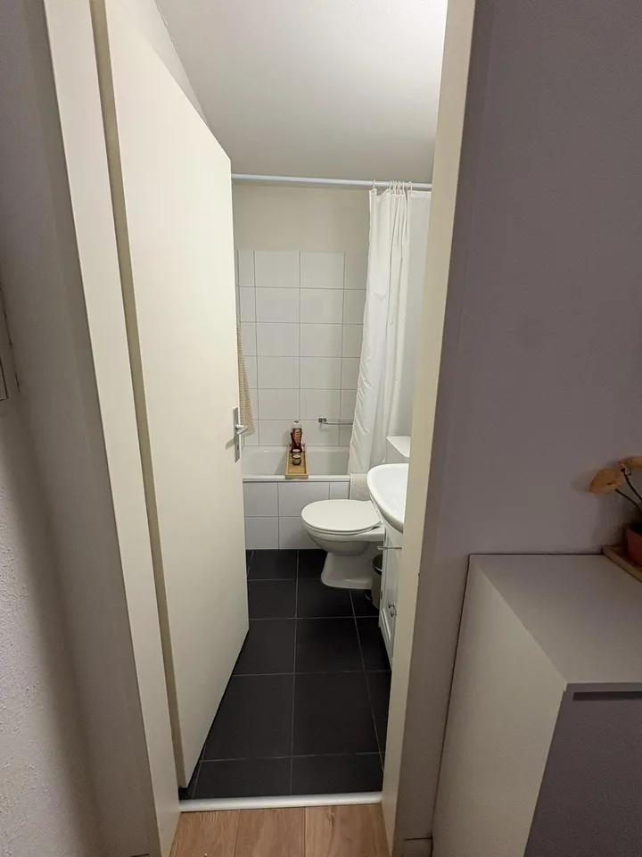 Perfectly located lakeside studio and balcony, available until end September 2027 furnished/part-furnished