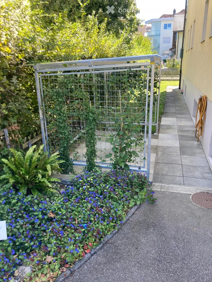 Helle 1-Zimmer-Wohnung mit Balkon in Allschwil per sofort zu vermieten